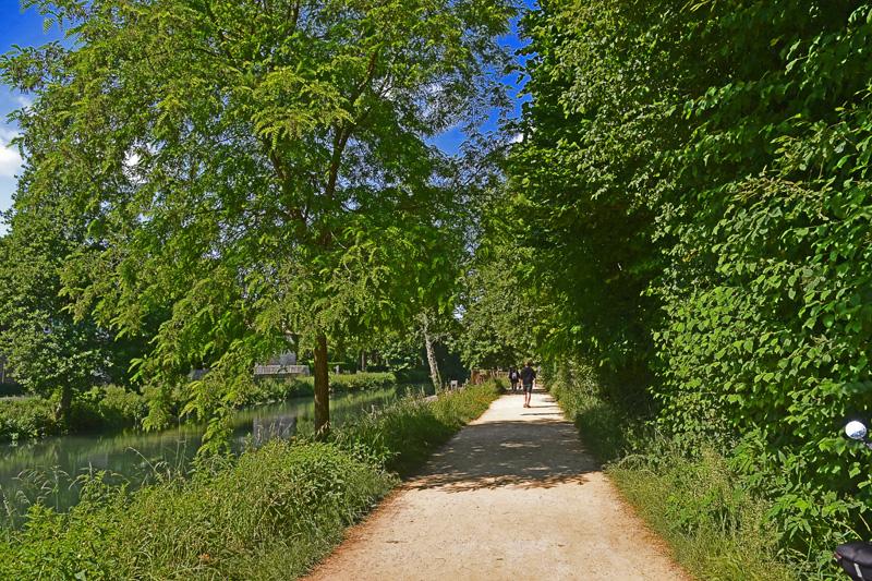min 2025 06 08 Marais Poitevin 175